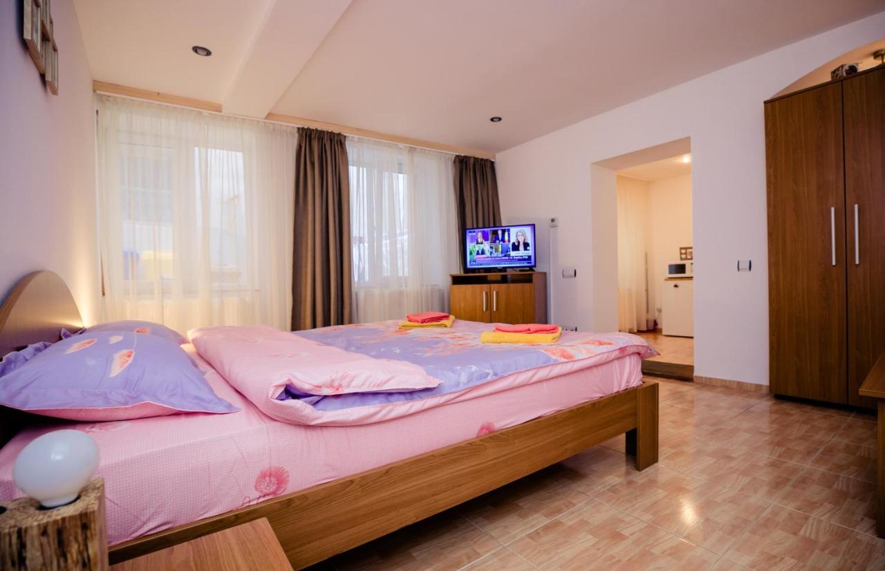 Studio Anisia Apartment Сибиу Екстериор снимка