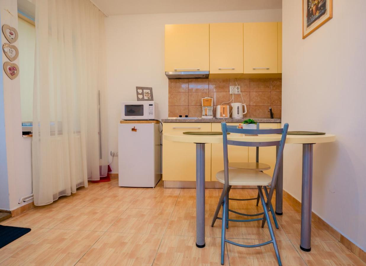 Studio Anisia Apartment Сибиу Екстериор снимка