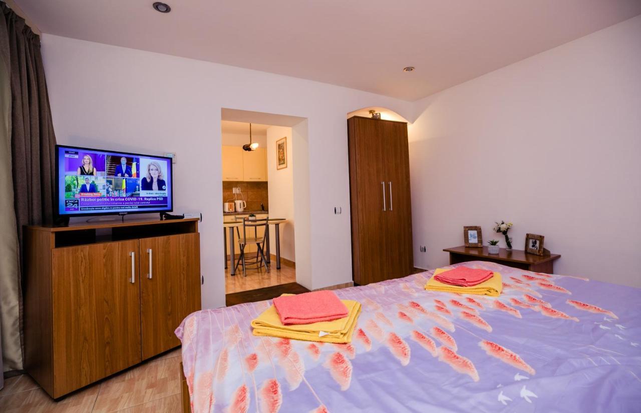 Studio Anisia Apartment Сибиу Екстериор снимка