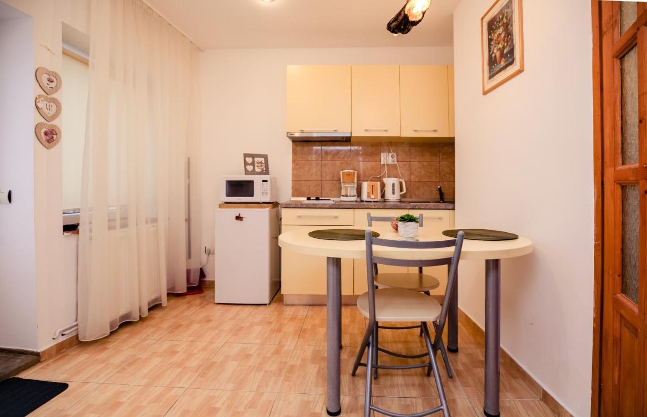 Studio Anisia Apartment Сибиу Екстериор снимка