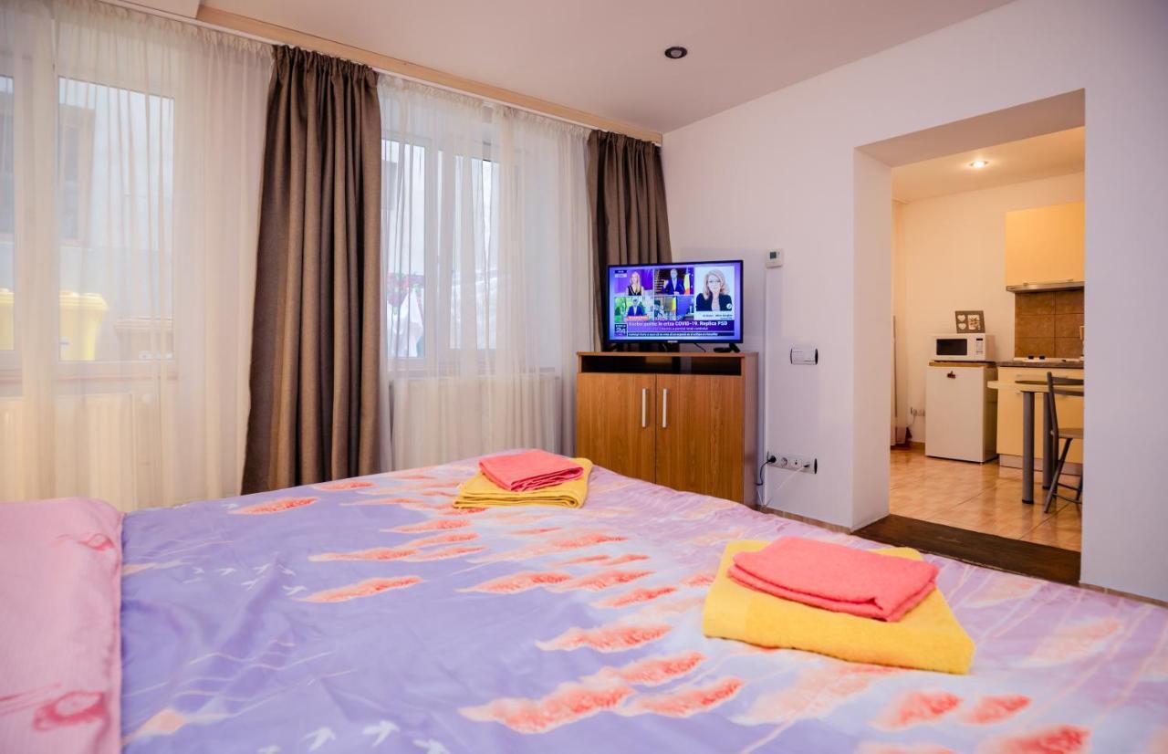 Studio Anisia Apartment Сибиу Екстериор снимка