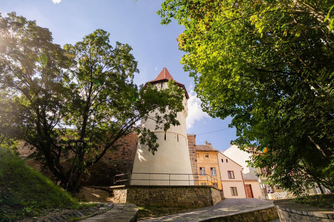 Studio Anisia Apartment Сибиу Екстериор снимка