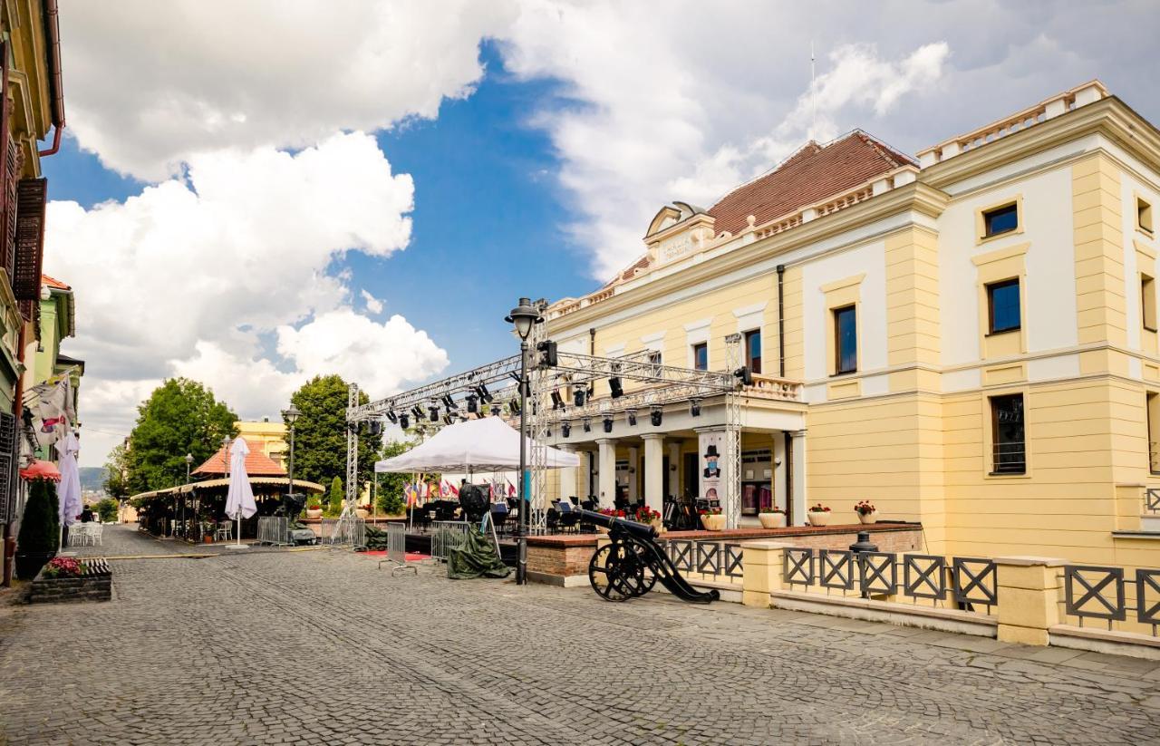 Studio Anisia Apartment Сибиу Екстериор снимка